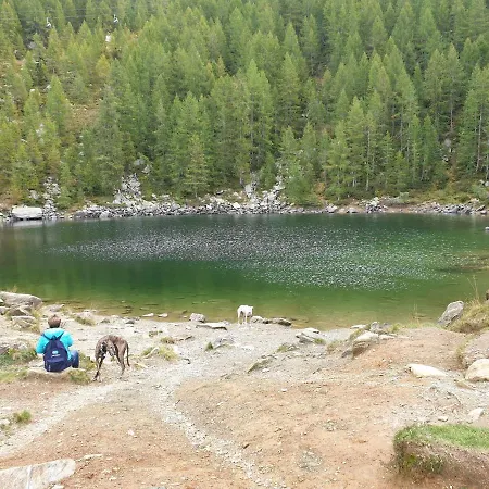 Villa Rosmarino 300 Mt From The Colico