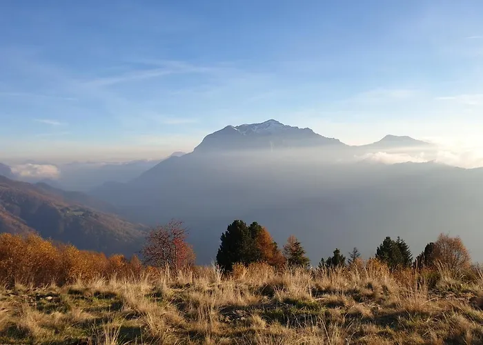 Rosmarino 300 Mt From The Willa Colico