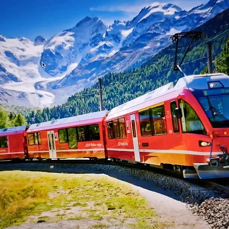 Rosmarino 300 Mt From The *